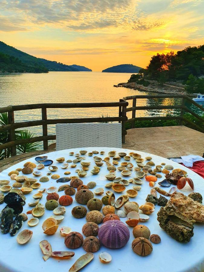 Casa Naranja Croatia Appartement Vela Luka Buitenkant foto